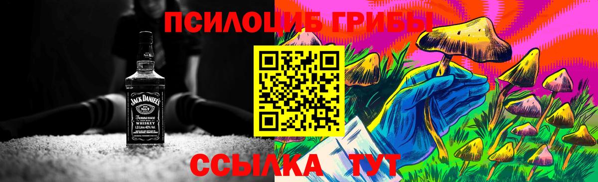 Гудермес  купить закладку  Вход с VPN  Псилоцибиновые грибы MAGIC MUSHROOMS 